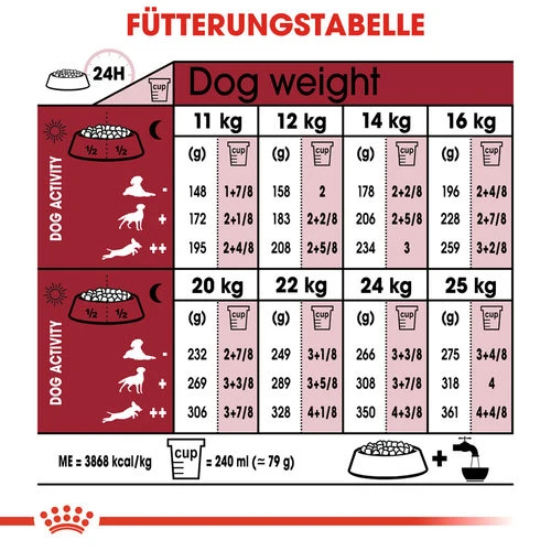 Royal Canin Medium Ageing 10+ - Hundefutter 8 Royal Canin Medium Ageing 10+ - Hundefutter – Bild 8