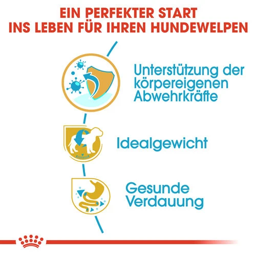 Royal Canin Mini Schnauzer Puppy - Hundefutter 2 Royal Canin Mini Schnauzer Puppy - Hundefutter – Bild 2