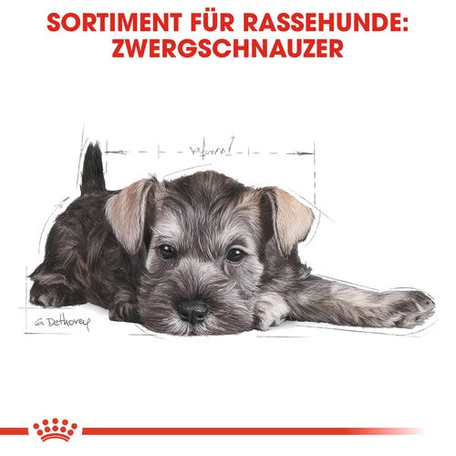 Royal Canin Mini Schnauzer Puppy - Hundefutter 3 Royal Canin Mini Schnauzer Puppy - Hundefutter – Bild 3