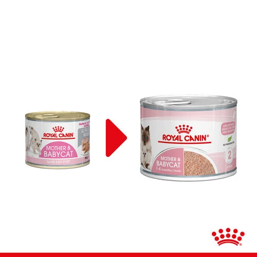Royal Canin Mother & Babycat Ultra Soft Mousse - Katzenfutter 1 Royal Canin Mother & Babycat Ultra Soft Mousse - Katzenfutter