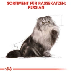 Royal Canin Persian Adult Wet - Katzenfutter -Haustierprodukte royal canin persian adult wet kattenvoer 126065 0500 none