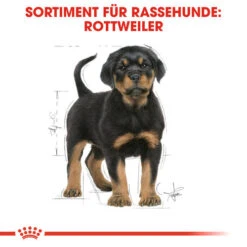 Royal Canin Rottweiler Puppy - Hundefutter 11 Royal Canin Rottweiler Puppy - Hundefutter -Haustierprodukte royal canin rottweiler puppy hondenvoer 140029 0500 none