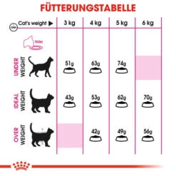 Royal Canin Savour Exigent - Katzenfutter -Haustierprodukte royal canin savour exigent kattenvoer 127580 0500 none