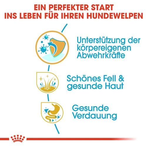 Royal Canin Shih Tzu Puppy - Hundefutter 2 Royal Canin Shih Tzu Puppy - Hundefutter – Bild 2