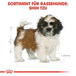 Royal Canin Shih Tzu Puppy - Hundefutter 11 Royal Canin Shih Tzu Puppy - Hundefutter -Haustierprodukte royal canin shih tzu junior hondenvoer 140411 0500 none