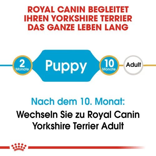 Royal Canin Yorkshire Terrier Puppy - Hundefutter 5 Royal Canin Yorkshire Terrier Puppy - Hundefutter – Bild 5