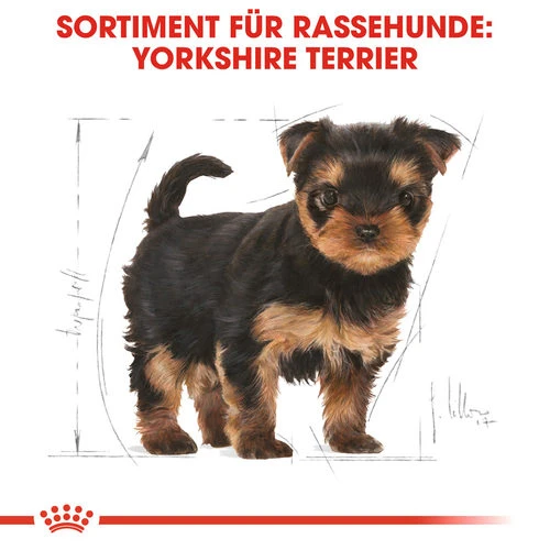 Royal Canin Yorkshire Terrier Puppy - Hundefutter 4 Royal Canin Yorkshire Terrier Puppy - Hundefutter – Bild 4