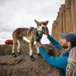 Ruffwear Grip Trex Boots -Haustierprodukte ruffwear grip trex boots 204740 0500 none