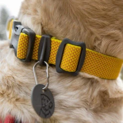 Ruffwear Hi & Light Halsband 10 Ruffwear Hi & Light Halsband -Haustierprodukte ruffwear hi light collar 194258 0500 none