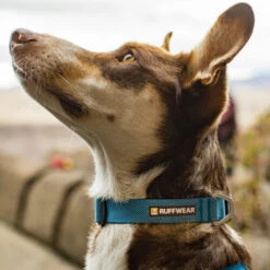 Ruffwear Hi & Light Halsband 9 Ruffwear Hi & Light Halsband -Haustierprodukte ruffwear hi light collar 194264 0500 none