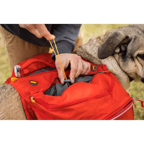 Ruffwear Palisades Pack 4 Ruffwear Palisades Pack – Bild 4