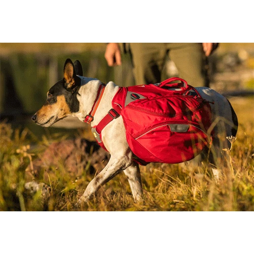 Ruffwear Palisades Pack 6 Ruffwear Palisades Pack – Bild 6