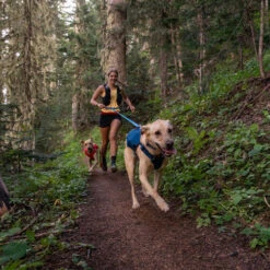 Ruffwear Roamer Leash - Blue Atoll 20 Ruffwear Roamer Leash - Blue Atoll -Haustierprodukte ruffwear roamer leash blue atoll 204797 0500 none