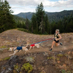 Ruffwear Roamer Leash - Blue Atoll 21 Ruffwear Roamer Leash - Blue Atoll -Haustierprodukte ruffwear roamer leash blue atoll 204800 0500 none