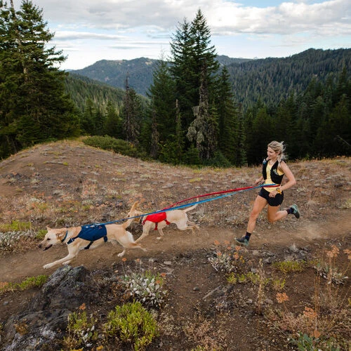 Ruffwear Roamer Leash - Blue Atoll 11 Ruffwear Roamer Leash - Blue Atoll – Bild 11