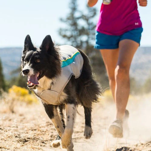 Ruffwear Swamp Cooler 8 Ruffwear Swamp Cooler – Bild 8