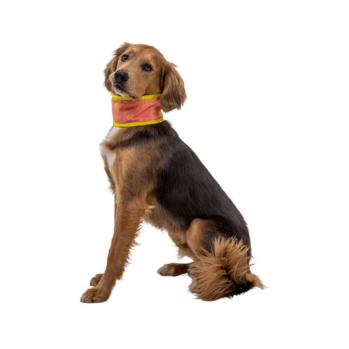 Ruffwear Swamp Cooler Neck Gaiter 4 Ruffwear Swamp Cooler Neck Gaiter – Bild 4