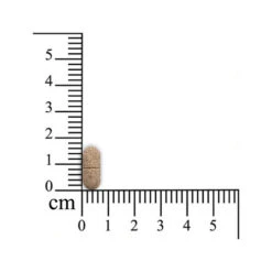 Pulmitranq Pferd 5 Pulmitranq Pferd -Haustierprodukte sensipharm pulmitranq paard 174541 0500 none