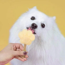 Smoofl Hundeeis Starter Kit -Haustierprodukte smoofl dog ice starter kit 195155 0500 none