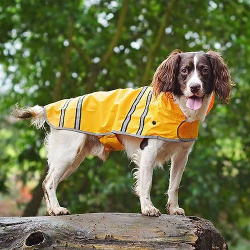 Sötnos Hunderegenmantel 2 Sötnos Hunderegenmantel – Bild 2