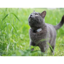 Tabcat Cat Tracker -Haustierprodukte tabcat cat tracker 217030 0500 none