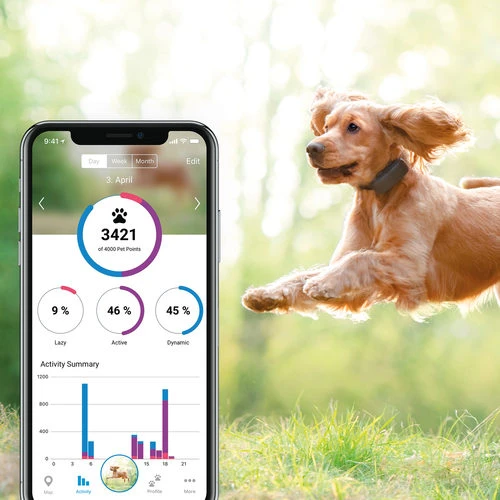 Tractive GPS Tracker Inkl. Activity Monitoring - Hund – Bild 8