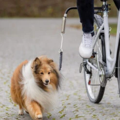 Trixie Biker-Set -Haustierprodukte trixie fiets set 178264 0500 none