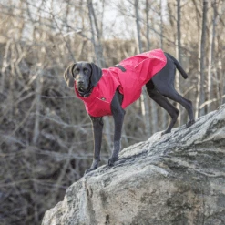 Trixie Regenjacke Vimy 17 Trixie Regenjacke Vimy -Haustierprodukte trixie regenjas vimy 204854 0500 none