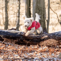 Trixie Regenjacke Vimy 14 Trixie Regenjacke Vimy -Haustierprodukte trixie regenjas vimy 204857 0500 none