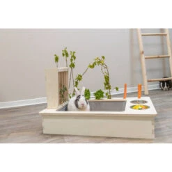 Trixie Futterstation Für Nager -Haustierprodukte trixie voederstation voor knaagdieren 207428 0500 none