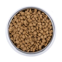 Vetality Skin Support - Hundefutter 7 Vetality Skin Support - Hundefutter -Haustierprodukte vetality skin support hondenvoer 195221 0500 none