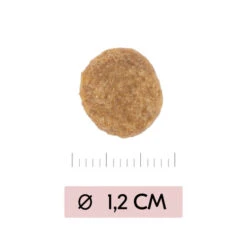 Vetality Skin Support - Hundefutter 6 Vetality Skin Support - Hundefutter -Haustierprodukte vetality skin support hondenvoer 195452 0500 none