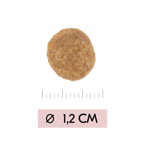 Vetality Skin Support - Hundefutter 3 Vetality Skin Support - Hundefutter – Bild 3