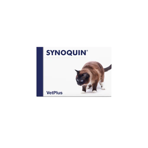 Vetplus Synoquin Katze 1 Vetplus Synoquin Katze