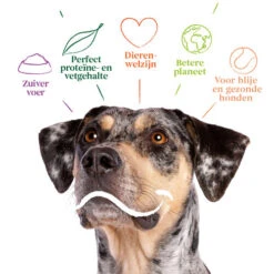 Yarrah - Bio Trockenfutter Vega Getreidefrei -Haustierprodukte yarrah bio droogvoer hond vega graanvrij 201212 0500 none