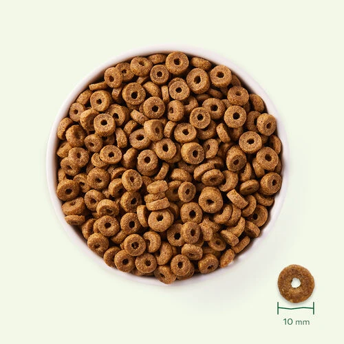 Yarrah - Trockenfutter Huhn Für Katzen Bio 2 Yarrah - Trockenfutter Huhn Für Katzen Bio – Bild 2