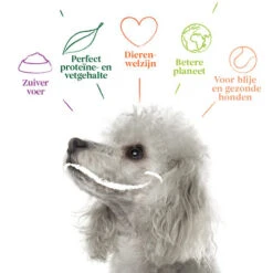 Yarrah - Vegetarische Bröckchen Mit Cranberry Bio 9 Yarrah - Vegetarische Bröckchen Mit Cranberry Bio -Haustierprodukte yarrah natvoer blik vega chunks met cranberries bio 200909 0500 none