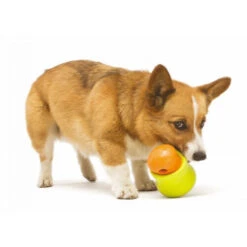 Zogoflex Toppl - Treat Toy 15 Zogoflex Toppl - Treat Toy -Haustierprodukte zogoflex toppl treat toy 219464 0500 none